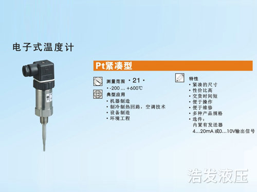 電子式溫度計(jì)